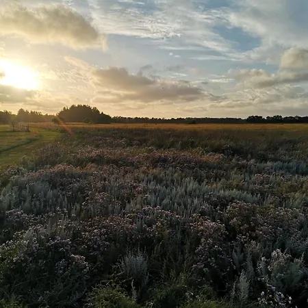 Family-friendly Oasis - By Traum Nyaraló Øster Melholt