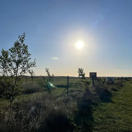 Nyaraló Family-friendly Oasis - By Traum Øster Melholt